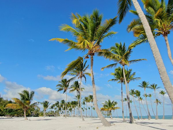 Comment les hôtels s'adaptent à la crise sanitaire du Covid-19